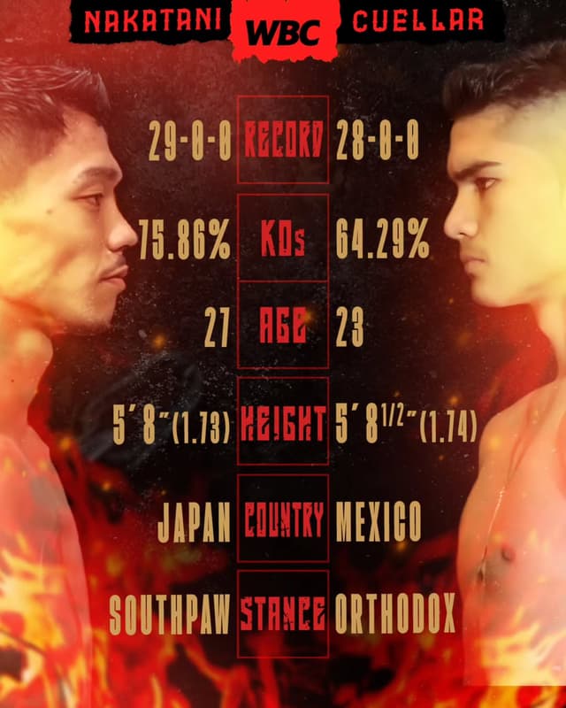 Official Junto Nakatani Boxing fight Card in Tokyo: February 24, 2025